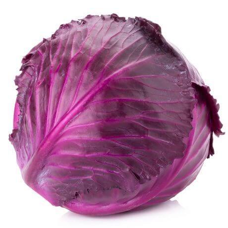 cabbage purple myvalue365